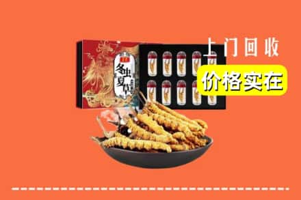 南宁宾阳县回收冬虫夏草